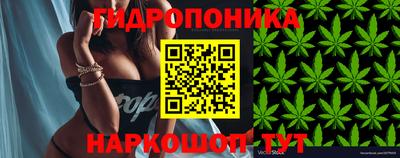 каннабис Пенза