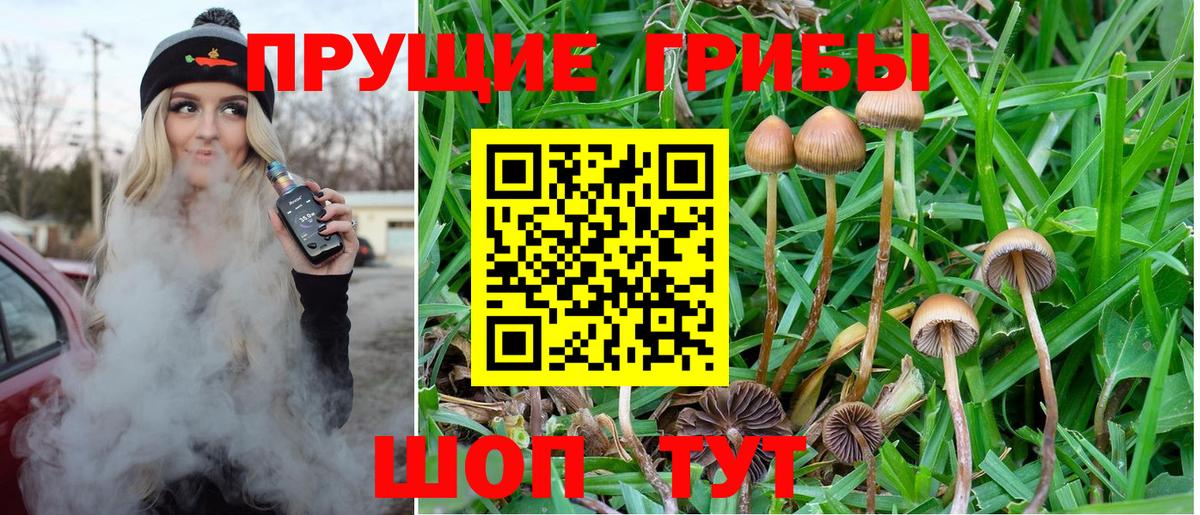 Галлюциногенные грибы MAGIC MUSHROOMS  Галлюциногенные грибы Psilocybine cubensis  Свободный  Вход с VPN 