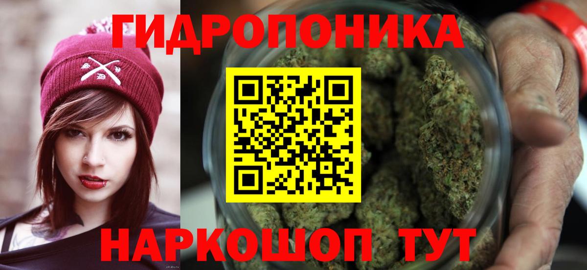 Бошки марихуана семена Свободный